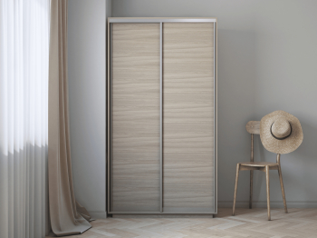 Шкаф-купе Экспресс Хит 2х дверный ДСП 120х60х220