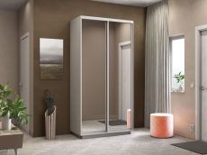 Шкафы-купе, Шкаф-купе Экспресс Экспенс дуо 2200 x 1200 x 600