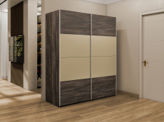 Шкафы-купе 2-х дверные, Шкаф-купе Эста 2-х дверный ДСП/Стекла фисташка/Доводчик 200х66х240