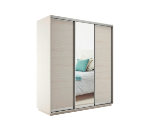 Шкаф-купе Экспресс Медиум (1 зеркало) трио 2400 x 2400 x 600