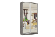 Шкафы-купе, Шкаф-купе Премьер Лайт 02 (11;11) двухдверный