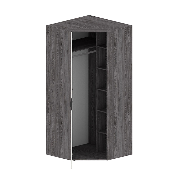 Для одежды, Шкаф Шаде ШК-2910, черный ясень, санторини белый