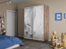 Шкафы-купе 2-х дверные, Шкаф-купе Экспресс 2-х дверный Фотопечать Шелк Стекла 120х45х220