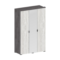 Для одежды, Шкаф Шаде ШК-2901, черный ясень, санторини белый