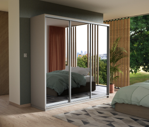 Шкаф-купе Экспресс Экспенс трио 2200 x 2400 x 600