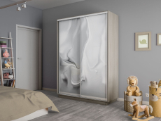 Шкафы-купе 2-х дверные, Шкаф-купе Экспресс 2-х дверный Фотопечать Шелк Стекла 160х45х220