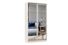 Шкафы-купе 2-х дверные, Шкаф-купе Премьер Лайт МИНИ 03 (11;11) двухдверный