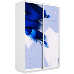 Шкаф-купе Экспресс 1010, 160х45х240