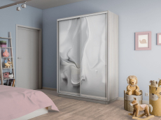 Шкафы-купе 2-х дверные, Шкаф-купе Экспресс 2-х дверный Фотопечать Шелк Стекла 120х45х220