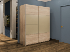 Шкафы-купе 2-х дверные, Шкаф-купе Эста 2-х дверный ДСП/Стекла фисташка/Доводчик 200х66х240