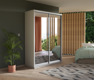 Шкаф-купе Экспресс Экспенс дуо 2400 x 1200 x 600