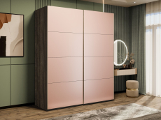 Шкафы-купе 2-х дверные, Шкаф-купе Эста 2-х дверный Стекла пудра/Доводчик 200х66х240