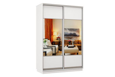 Шкаф-купе Премьер Лайт 09 (05;05) двухдверный