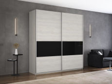 Шкафы-купе 2-х дверные, Шкаф-купе Прайм 2-х дверный ДСП/Стекло черное вставка 160х57х230