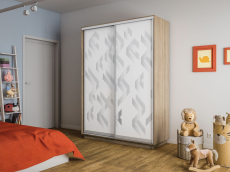 Шкафы-купе 2-х дверные, Шкаф-купе Экспресс 2-х дверный Фотопечать Ленты Стекла 120х45х220