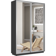 Шкафы-купе 2-х дверные, Шкаф-купе Экспресс Экспенс дуо 2200 x 1600 x 450