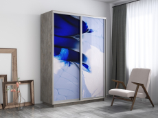 Шкафы-купе, Шкаф-купе Экспресс 1010, 120х60х240