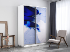 Шкафы-купе, Шкаф-купе Экспресс 1010, 160х45х240