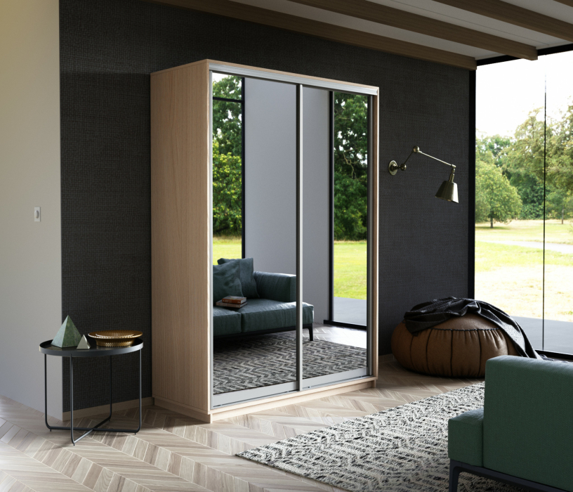 Шкафы-купе, Шкаф-купе Экспресс Экспенс дуо 2200 x 1200 x 600