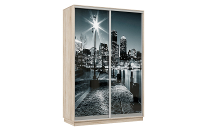 Шкаф-купе Премьер Лайт 10 Ф-1356 двухдверный