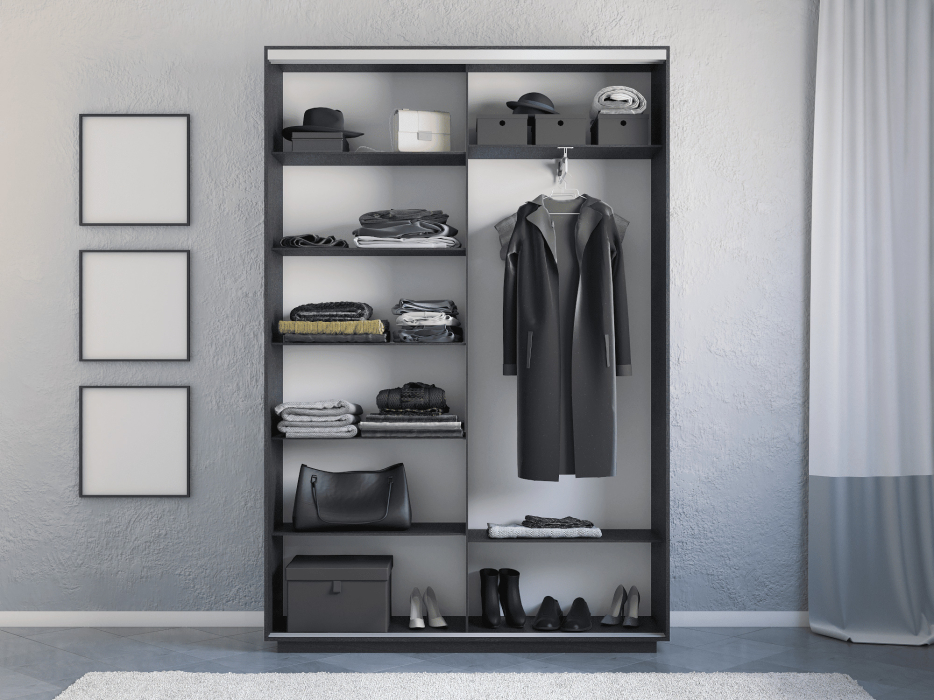 Шкафы-купе 2-х дверные, Шкаф-купе Экспресс 2-х дверный Фотопечать Шелк Стекла 160х45х240