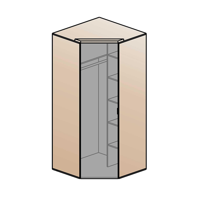 Для одежды, Шкаф Шаде ШК-2910, черный ясень, санторини белый