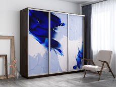 Шкафы-купе, Шкаф-купе Экспресс 1010, 180х45х240