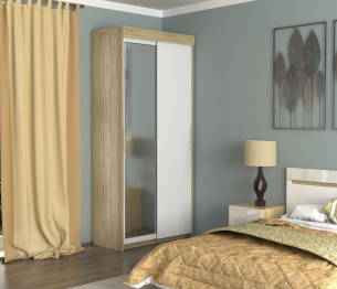 Шкаф-купе шк-19 двухдверный с зеркалом