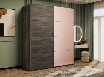 Шкаф-купе Эста 2-х дверный ДСП/Стекла пудра/Доводчик 180х66х240