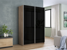 Шкафы-купе 2-х дверные, Шкаф-купе Прайм 2-х дверный Стекла черные/Доводчики 160х57х230