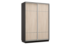 Шкафы-купе, Шкаф-купе Премьер Лайт 04  Мини (08;08) двухдверный