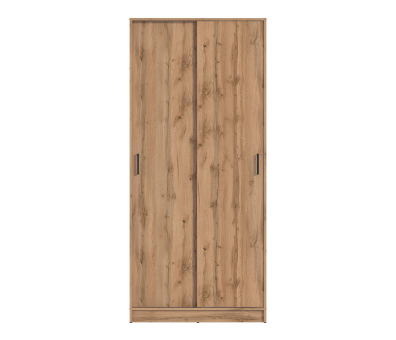 Шкафы-купе, Шкаф-купе 2-х дверный Терра СБ-2545