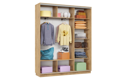 Шкаф-купе Премьер Лайт 21 (08;11;08) трехдверный