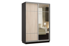 Шкафы-купе, Шкаф-купе Премьер Лайт 04 Мини (08;11) двухдверный