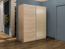 Шкафы-купе 2-х дверные, Шкаф-купе Эста 2-х дверный ДСП/Стекла фисташка/Доводчик 180х66х240