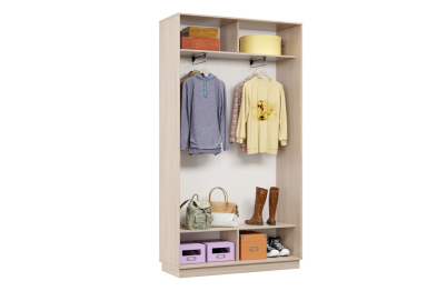 Шкаф-купе Премьер 05 (15;15) двухдверный