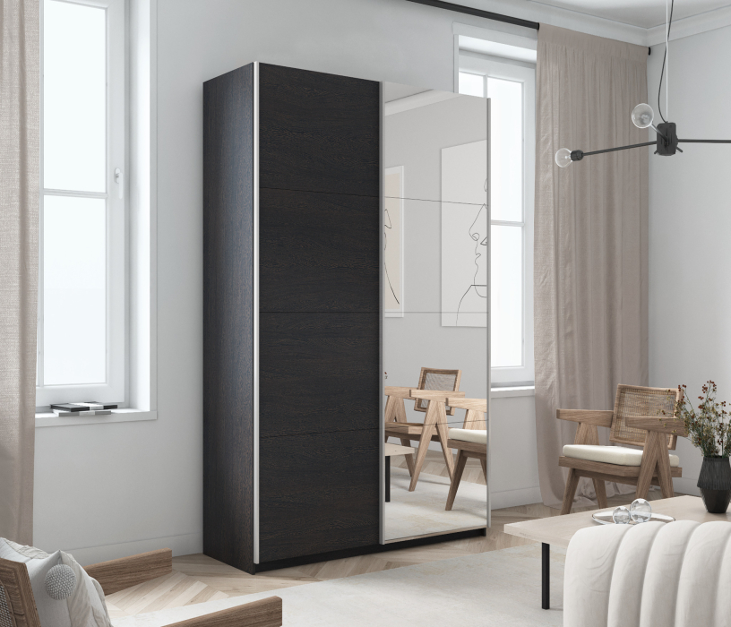 Шкафы-купе 2-х дверные, Шкаф Прайм дуо ДСП+зеркало 2300 х 1200 х 570