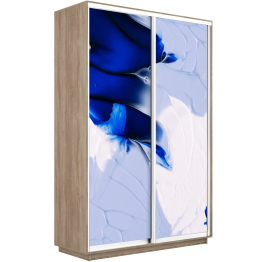 Шкаф-купе Экспресс 1010, 160х60х220