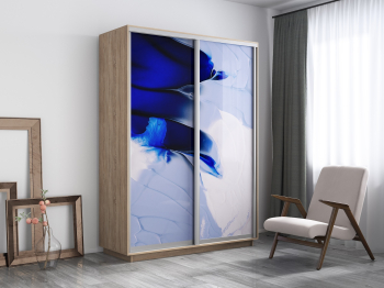 Шкаф-купе Экспресс 1010, 160х60х240