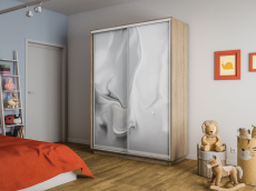 Шкафы-купе 2-х дверные, Шкаф-купе Экспресс 2-х дверный Фотопечать Шелк Стекла 140х45х220