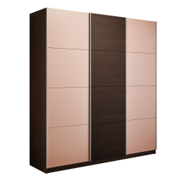 Шкаф-купе Эста 3-х дверный ДСП/Стекла пудра/Доводчик 240х66х240