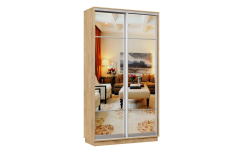 Шкафы-купе, Шкаф-купе Премьер Лайт 02 (11;11) двухдверный