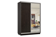 Шкафы-купе, Шкаф-купе Премьер Лайт 03 (02;01) двухдверный