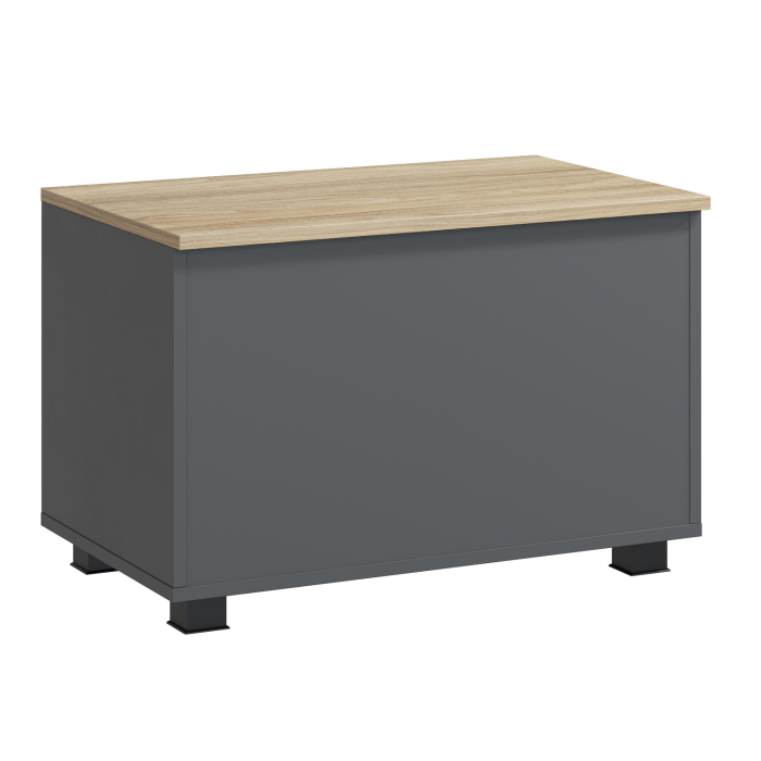 Ящики для игрушек, Ящик Скайлайт СЛ-60