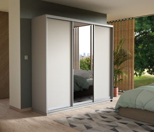 Шкаф-купе Экспресс Медиум (1 зеркало) трио 2200 x 2100 x 600