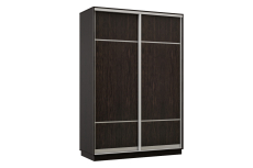 Шкафы-купе, Шкаф-купе Премьер Лайт 04  Мини (08;08) двухдверный
