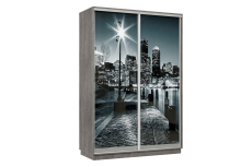 Шкафы-купе 2-х дверные, Шкаф-купе Премьер Лайт 04 Ф-1356 двухдверный