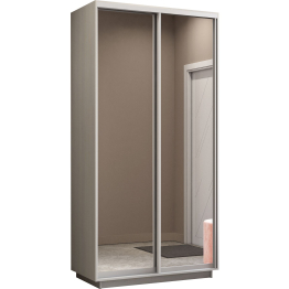 Шкаф-купе Экспресс Экспенс дуо 2400 x 1200 x 600